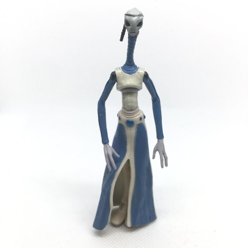 Taun We - Star Wars Saga Series - 3.75"